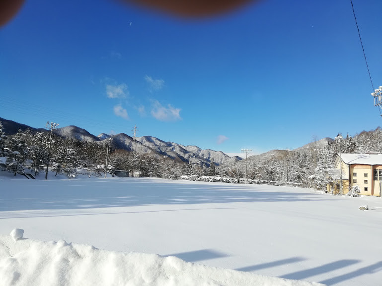 f:id:Naturalhistory:20190127153900j:plain