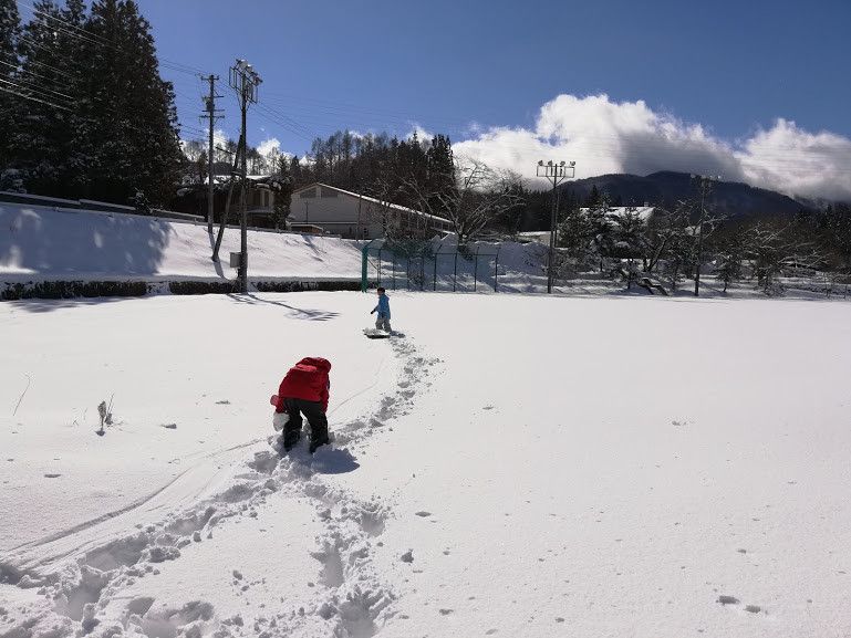 f:id:Naturalhistory:20190127153931j:plain