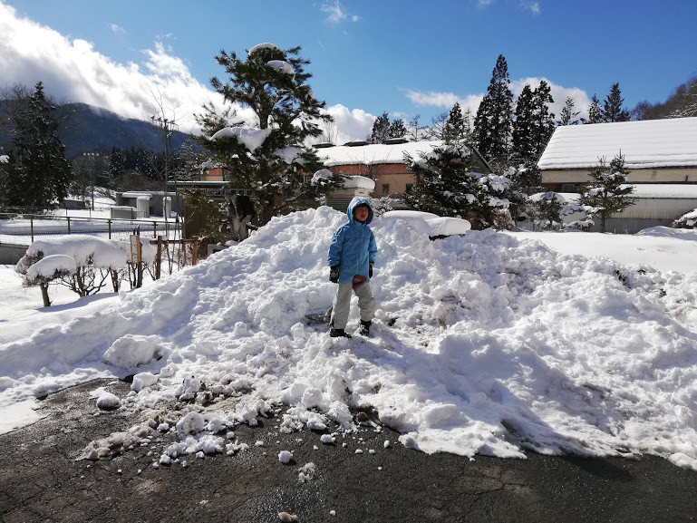 f:id:Naturalhistory:20190127154151j:plain