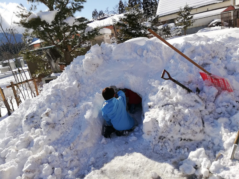 f:id:Naturalhistory:20190127154223j:plain