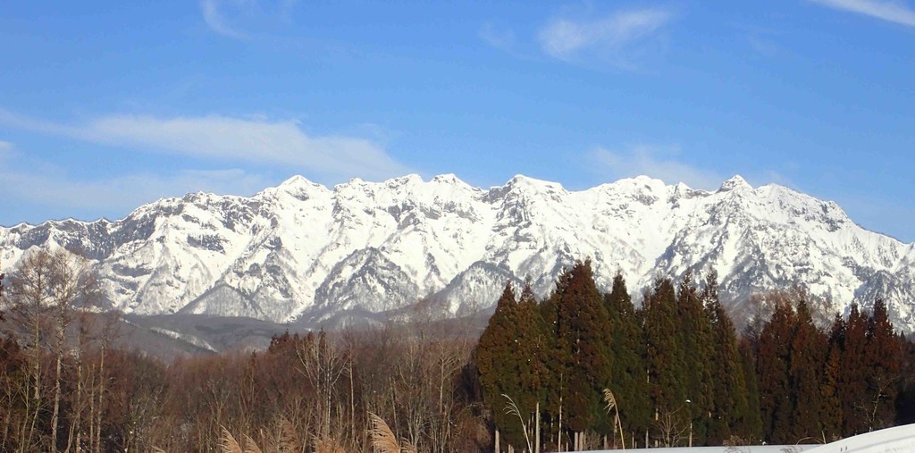 f:id:Naturalhistory:20190204083621j:plain