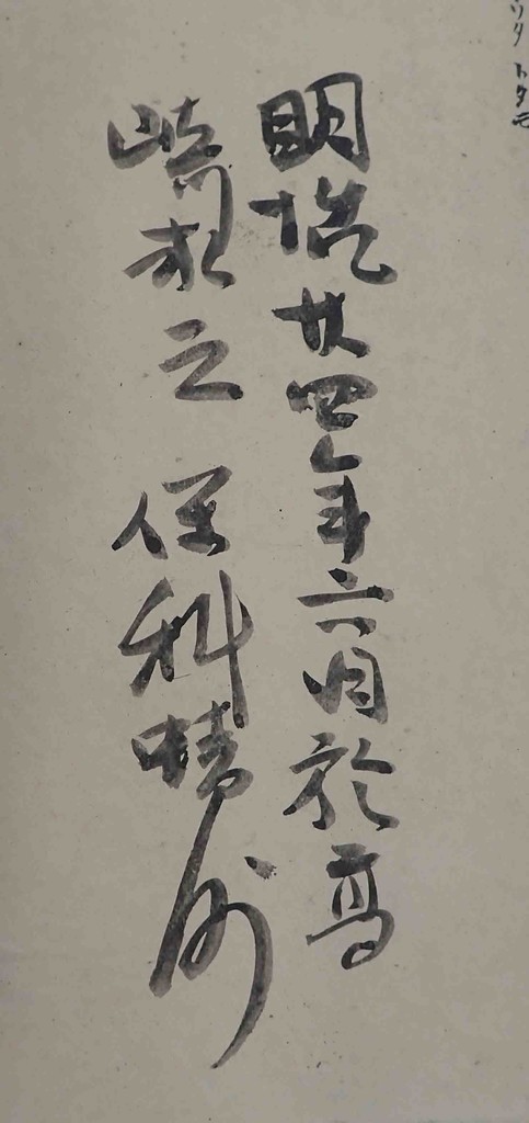 f:id:Naturalhistory:20190310155642j:plain