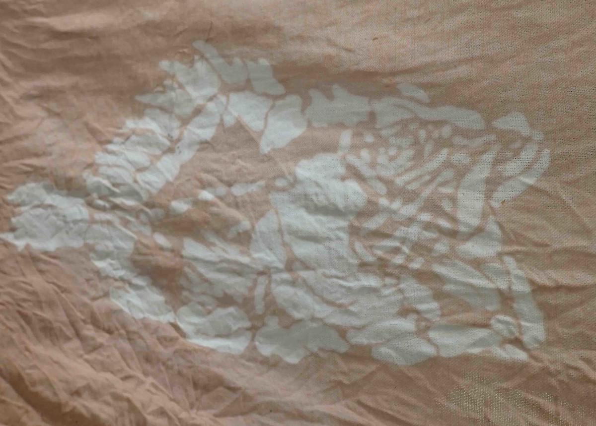 f:id:Naturalhistory:20190318142924j:plain