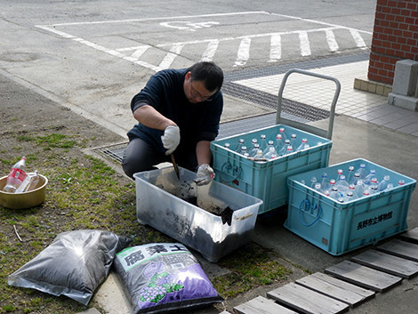 f:id:Naturalhistory:20190329134420j:plain f:id:Naturalhistory:20190329134420j:plain