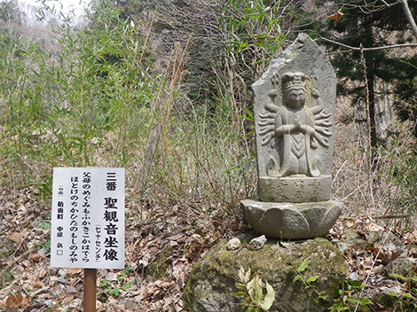 f:id:Naturalhistory:20190407115452j:plain