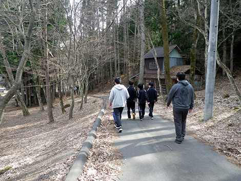 f:id:Naturalhistory:20190419145619j:plain