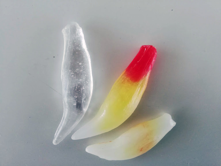 f:id:Naturalhistory:20190427100730j:plain