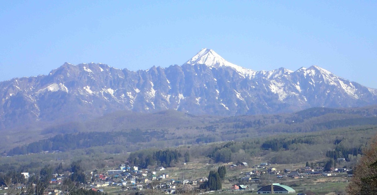 f:id:Naturalhistory:20190505083246j:plain