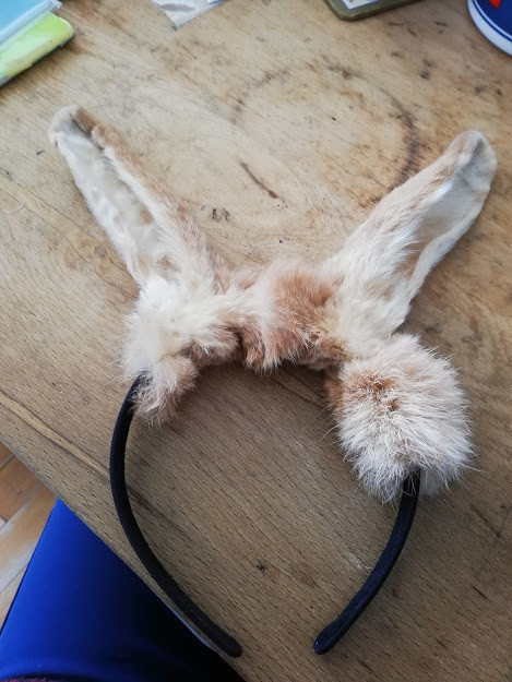 f:id:Naturalhistory:20190510150330j:plain