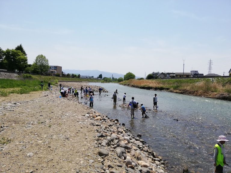 f:id:Naturalhistory:20190512165134j:plain