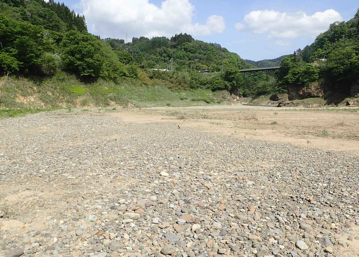 f:id:Naturalhistory:20190520144751j:plain