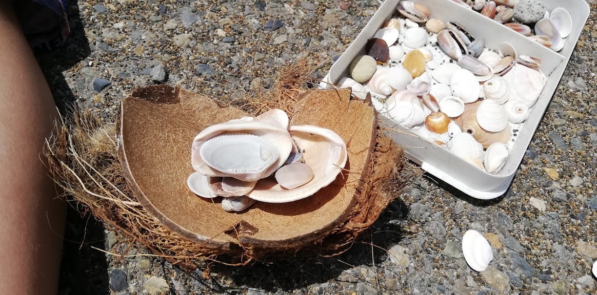 f:id:Naturalhistory:20190528165701j:plain