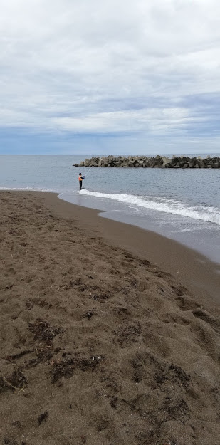 f:id:Naturalhistory:20190611162537j:plain