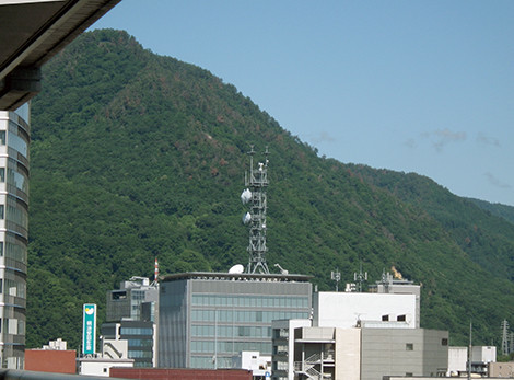 f:id:Naturalhistory:20190613084012j:plain