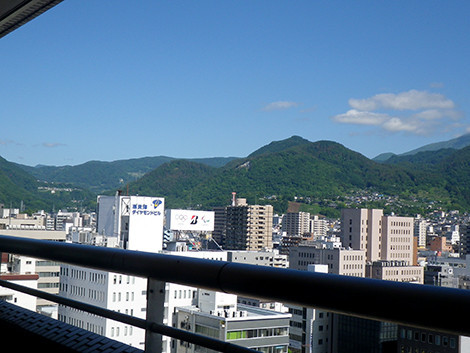 f:id:Naturalhistory:20190613084059j:plain