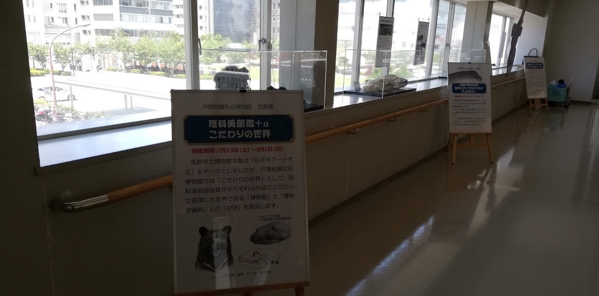 f:id:Naturalhistory:20190618163115j:plain f:id:Naturalhistory:20190618163115j:plain