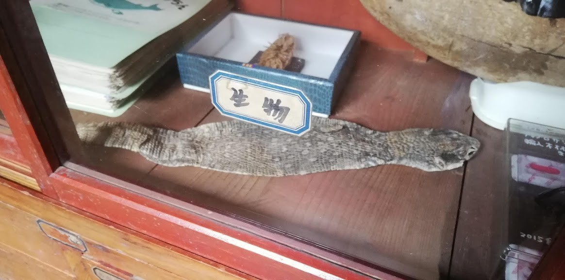 f:id:Naturalhistory:20190618170448j:plain f:id:Naturalhistory:20190618170448j:plain
