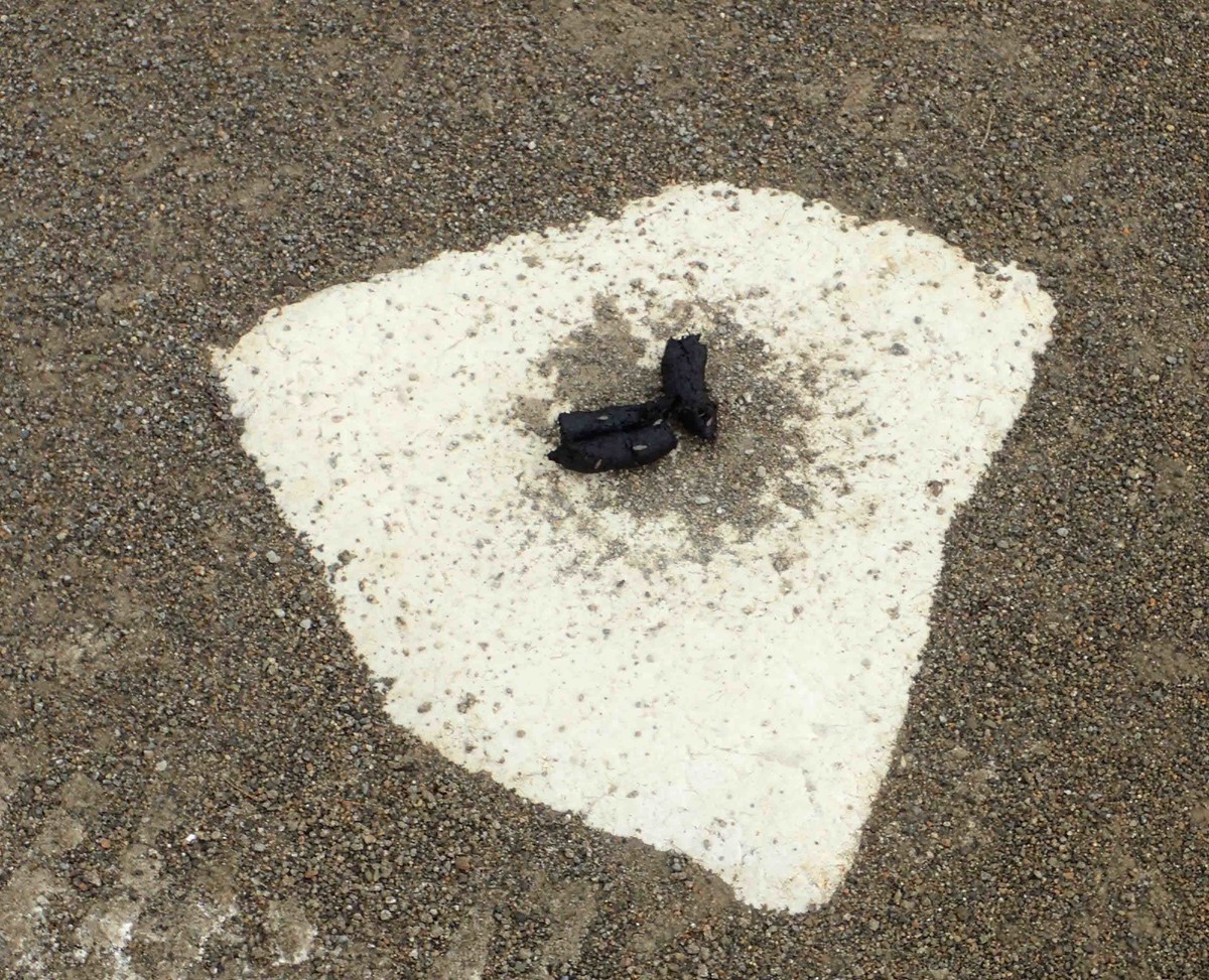 f:id:Naturalhistory:20190623074620j:plain f:id:Naturalhistory:20190623074620j:plain