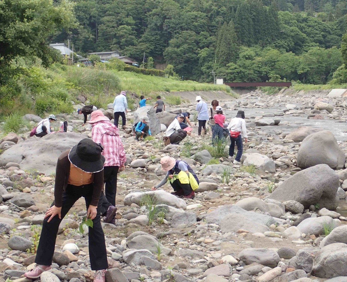 f:id:Naturalhistory:20190624141201j:plain f:id:Naturalhistory:20190624141201j:plain