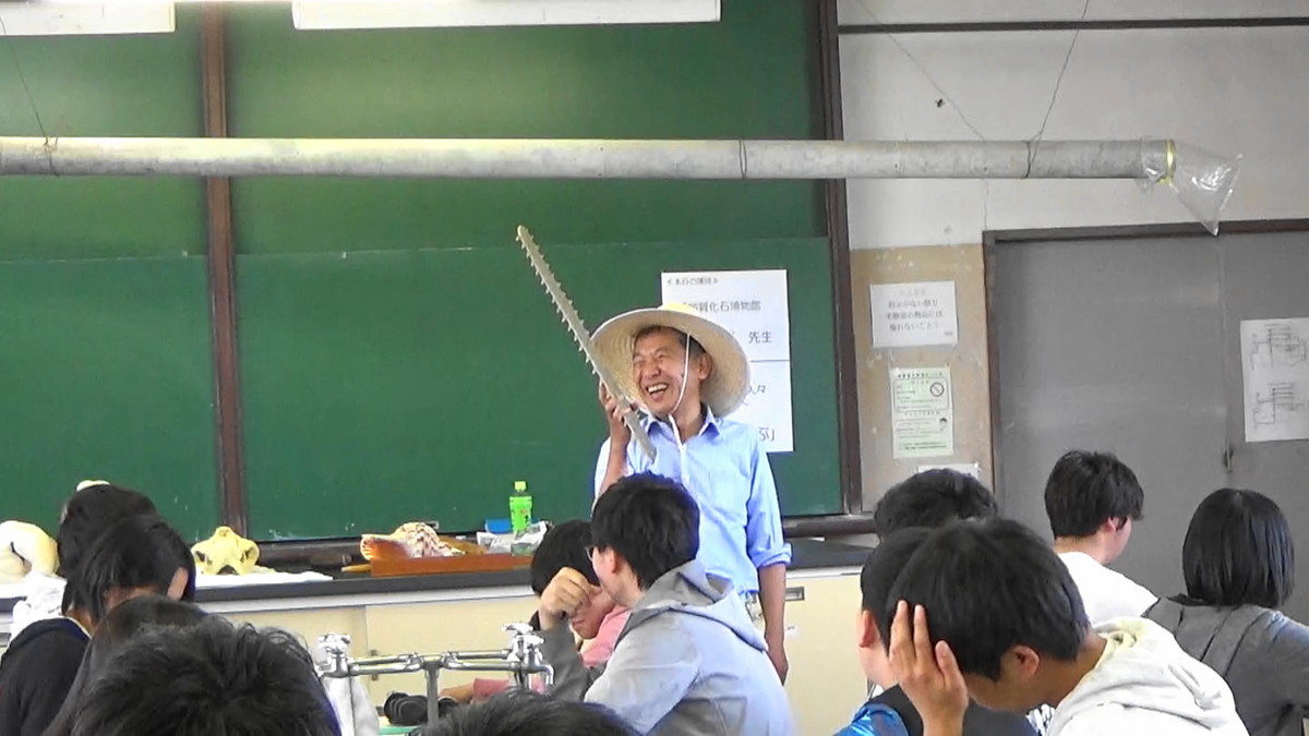 f:id:Naturalhistory:20190625143444j:plain