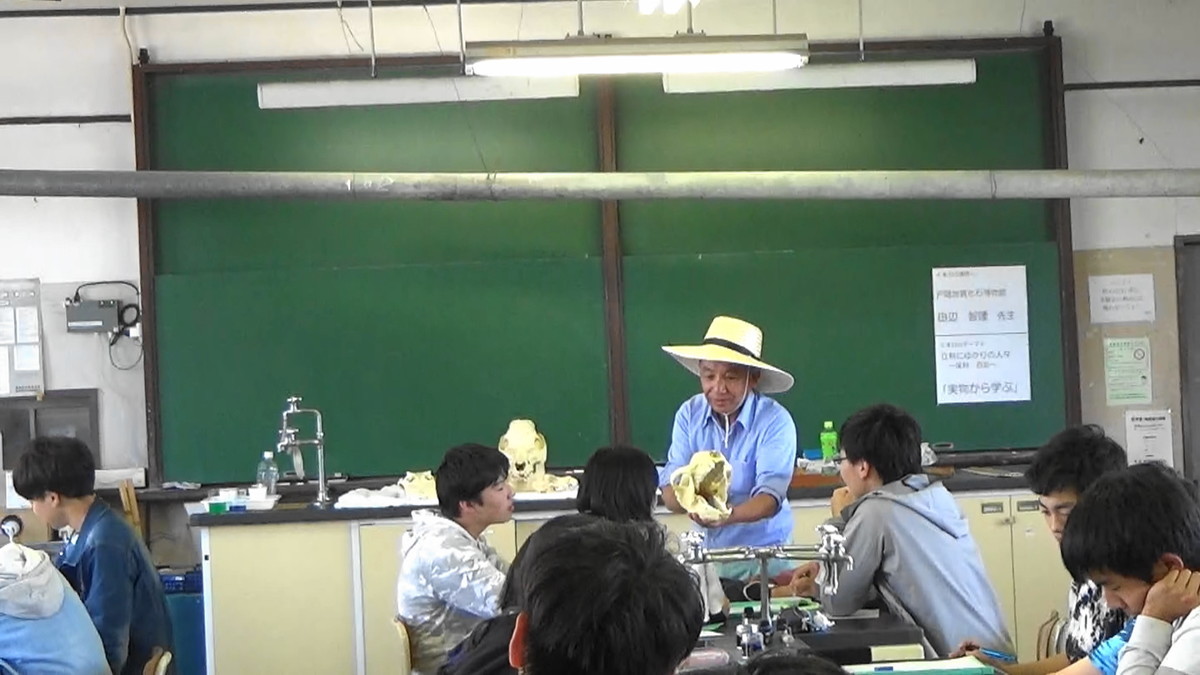 f:id:Naturalhistory:20190625145124j:plain