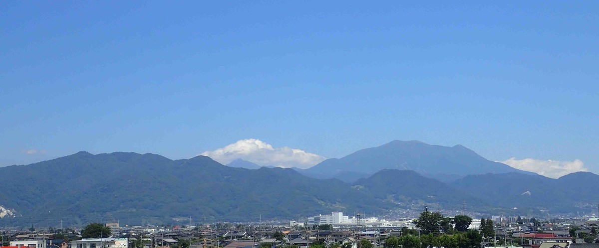 f:id:Naturalhistory:20190627105233j:plain