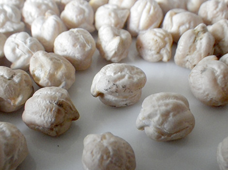 f:id:Naturalhistory:20190630151926j:plain