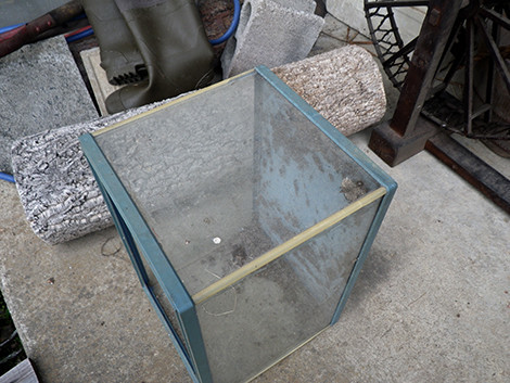 f:id:Naturalhistory:20190707084616j:plain f:id:Naturalhistory:20190707084616j:plain
