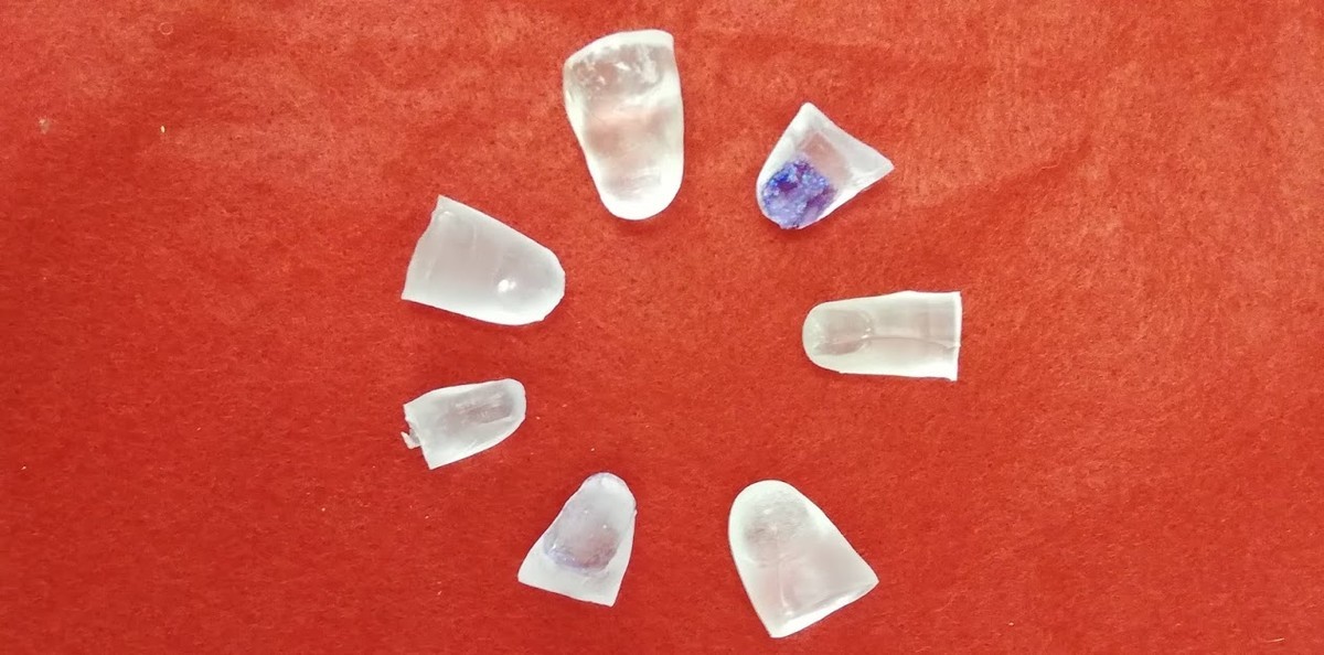 f:id:Naturalhistory:20190707154903j:plain