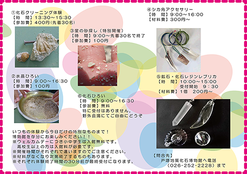 f:id:Naturalhistory:20190724170225p:plain
