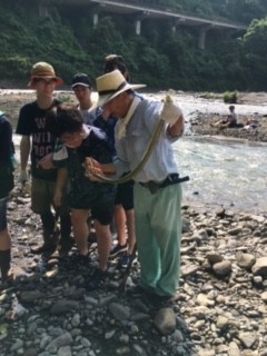 f:id:Naturalhistory:20190801144358j:plain