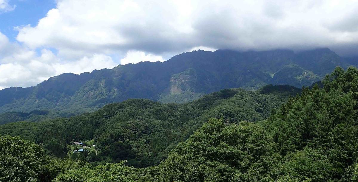 f:id:Naturalhistory:20190810121130j:plain