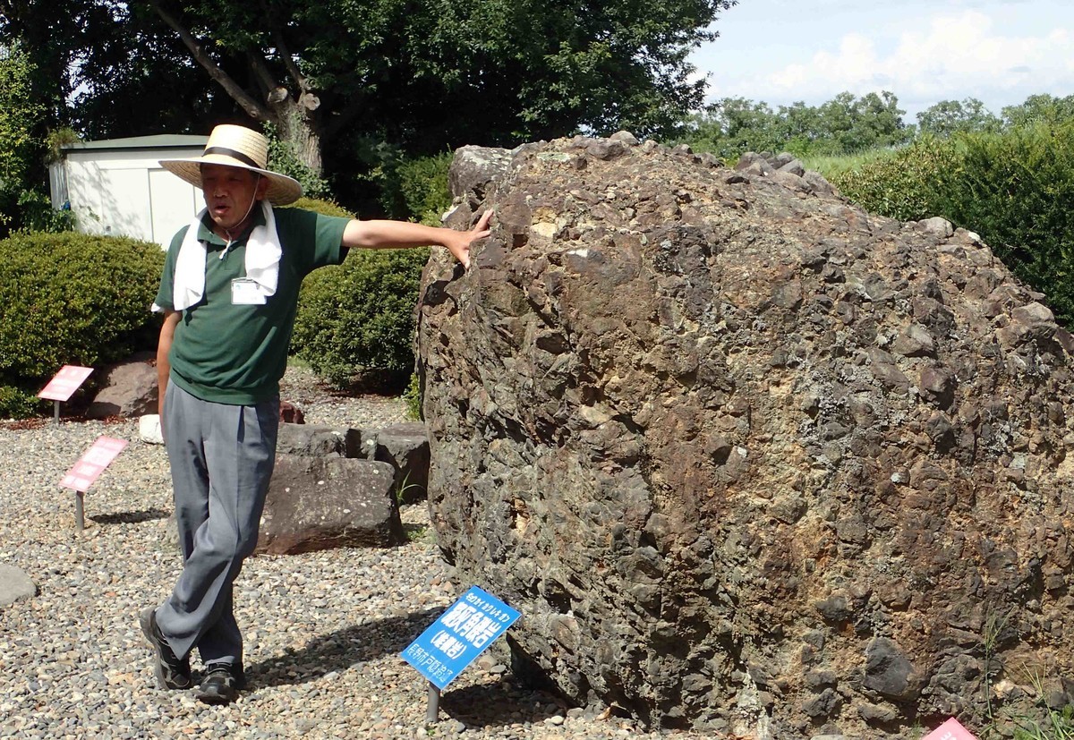 f:id:Naturalhistory:20190813144934j:plain