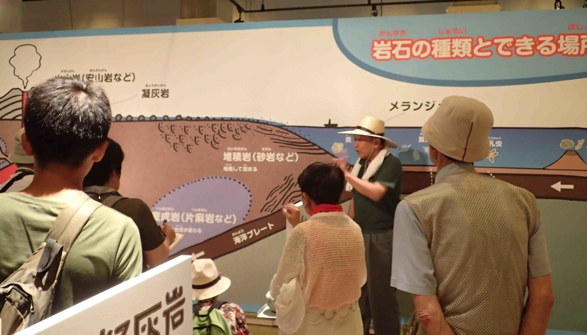 f:id:Naturalhistory:20190813153141j:plain
