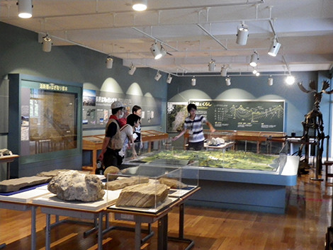 f:id:Naturalhistory:20190816135604j:plain