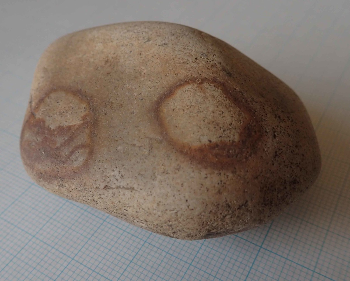 f:id:Naturalhistory:20190819150323j:plain f:id:Naturalhistory:20190819150323j:plain