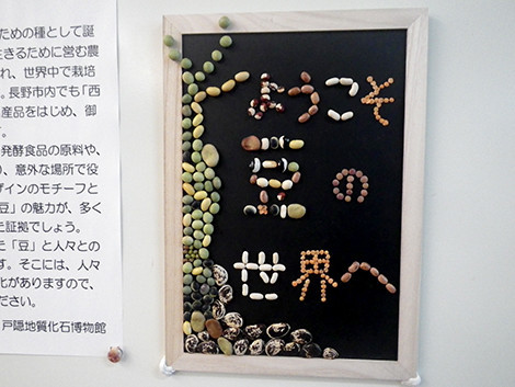 f:id:Naturalhistory:20190914151944j:plain