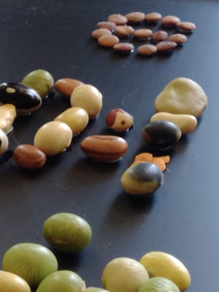 f:id:Naturalhistory:20190918160112j:plain