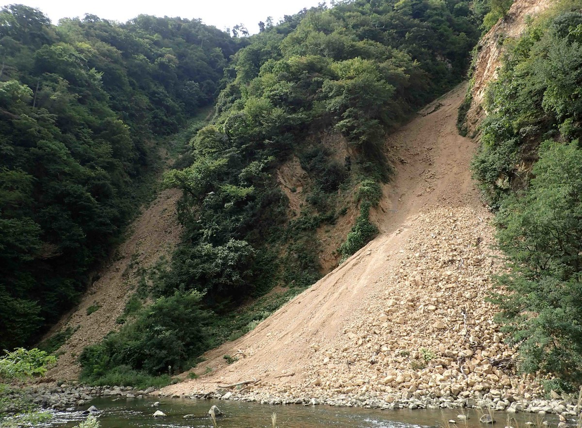 f:id:Naturalhistory:20190921103620j:plain