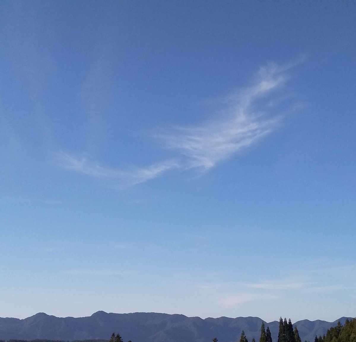 f:id:Naturalhistory:20190926064916j:plain