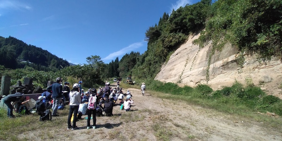 f:id:Naturalhistory:20190926170147j:plain f:id:Naturalhistory:20190926170147j:plain