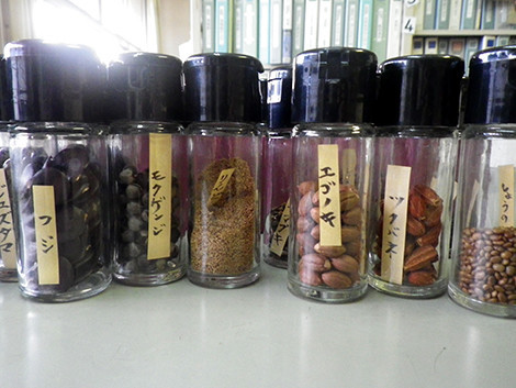 f:id:Naturalhistory:20191016164007j:plain