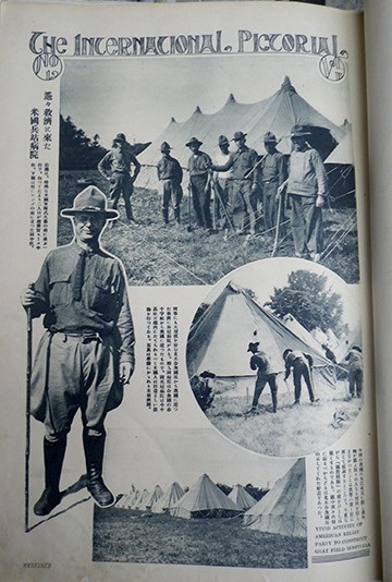 f:id:Naturalhistory:20191030112233j:plain