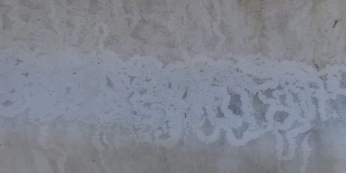 f:id:Naturalhistory:20191116171840j:plain