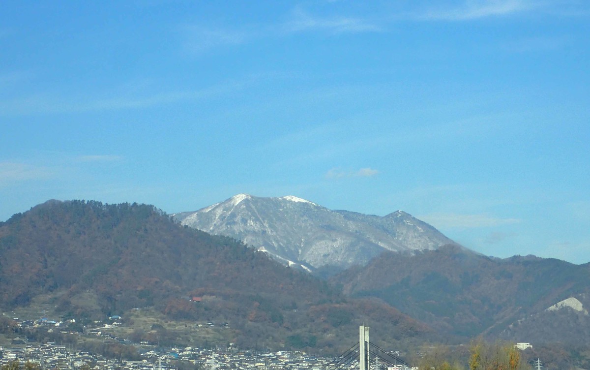 f:id:Naturalhistory:20191202113609j:plain