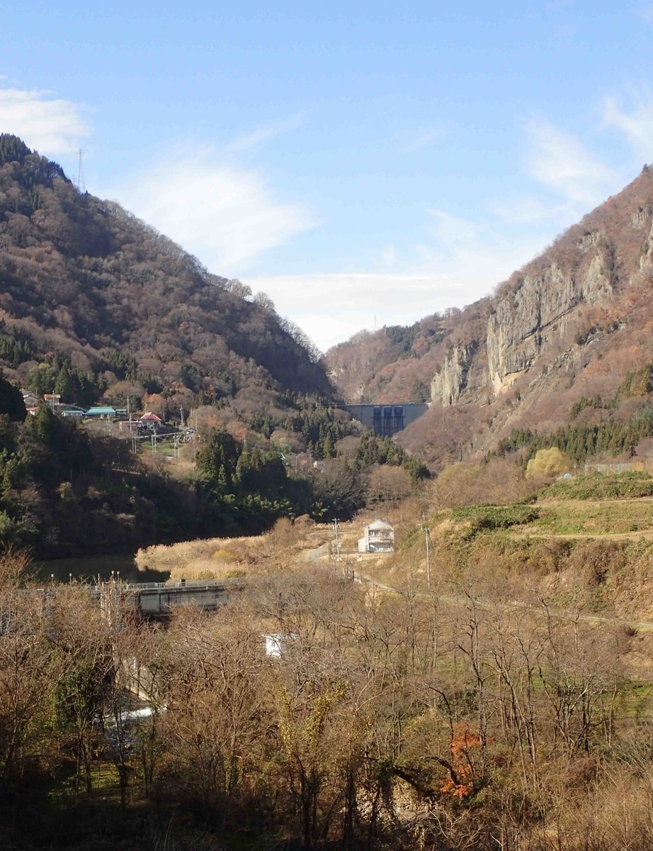 f:id:Naturalhistory:20191202115735j:plain