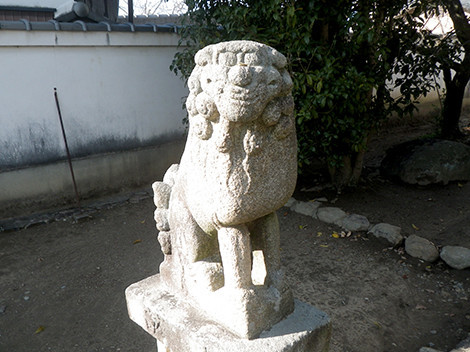 f:id:Naturalhistory:20191227133357j:plain