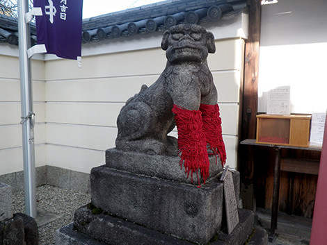f:id:Naturalhistory:20191228094444j:plain