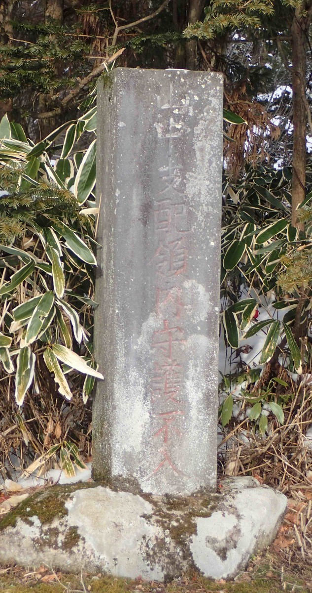 f:id:Naturalhistory:20200118160632j:plain