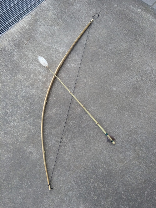f:id:Naturalhistory:20200119162643j:plain